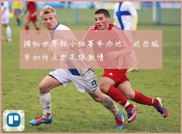 揭秘世界杯小组赛举办地：这些城市如何点燃足球激情