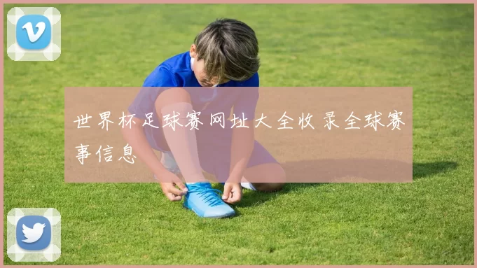 世界杯足球赛网址大全收录全球赛事信息