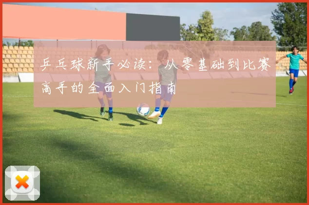 乒乓球新手必读:从零基础到比赛高手的全面入门指南