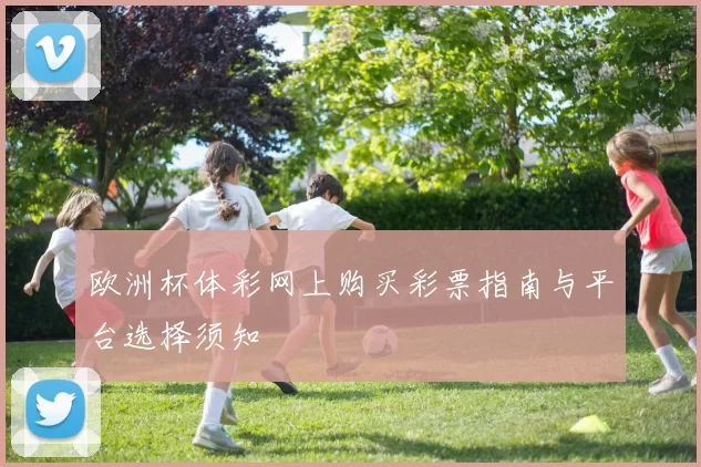 欧洲杯体彩网上购买彩票指南与平台选择须知