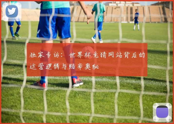 独家专访:世界杯竞猜网站背后的运营逻辑与赔率奥秘