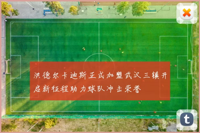 洪德尔卡迪斯正式加盟武汉三镇开启新征程助力球队冲击荣誉