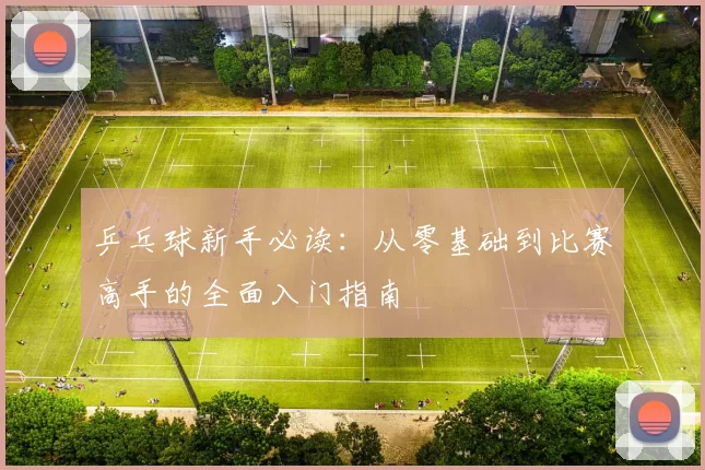 乒乓球新手必读:从零基础到比赛高手的全面入门指南