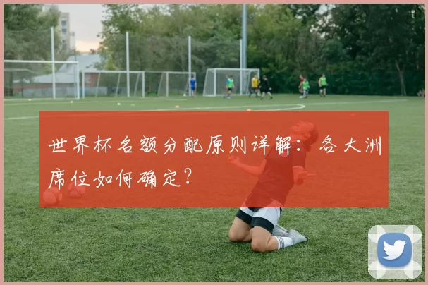 世界杯名额分配原则详解:各大洲席位如何确定?