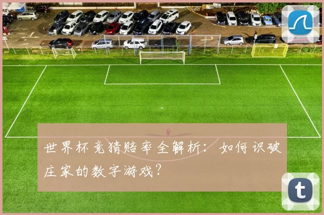 世界杯竞猜赔率全解析：如何识破庄家的数字游戏？
