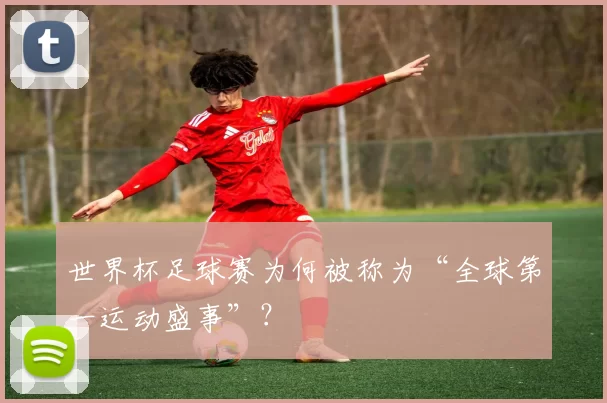 世界杯足球赛为何被称为“全球第一运动盛事”？