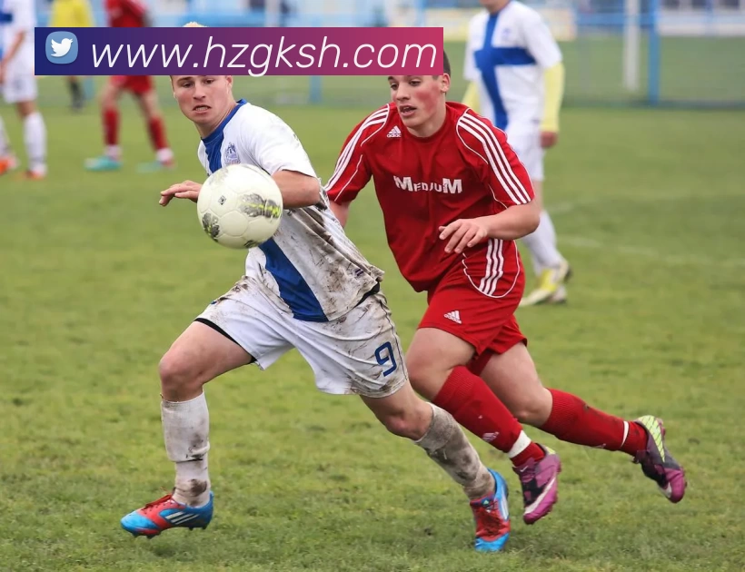 彩神vllAPP 封面图